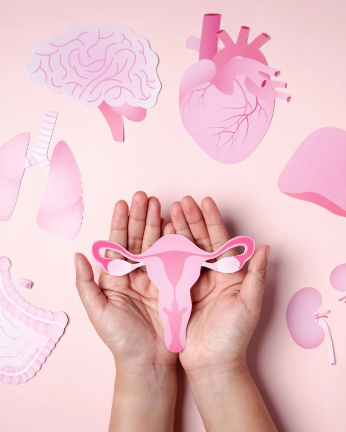 Imatge Programa "Sentir-te bé a la menopausa"