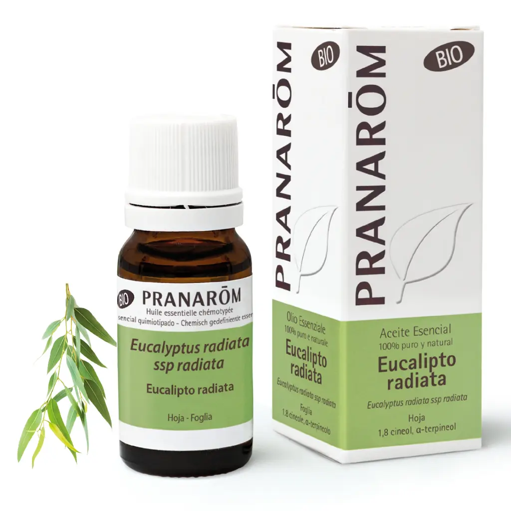 Pranarom Aceite Esen Eucalipto Radiata 10 Ml